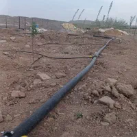 آبیاری قطره ای و فضای سبز روف گاردن|خدمات باغبانی و درختکاری|قم, شهرک قدس|دیوار