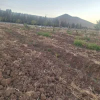 باغ ۴۵۰۰ بر اصل جاده سراب نیلوفر|فروش زمین و ملک کلنگی|کرمانشاه, |دیوار