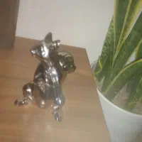 یک عدد سنجاب تزئینی