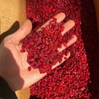 زرشک پفکی زرشک اناری زرشک زیر تالاری