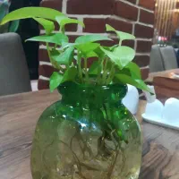 راهنمایی از mrsدکتر یا پرستار