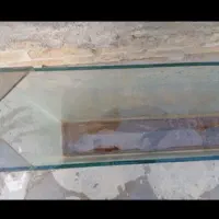 اکواریوم|ماهی|اردکان, |دیوار