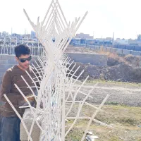 حفاظ شاخ گوزنی