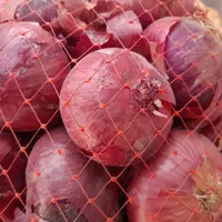 بذرپیاز|گل و گیاه طبیعی|کازرون, |دیوار