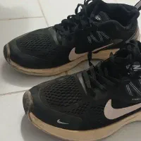 کفش|کیف، کفش، کمربند|نیشابور, سید جمال الدین|دیوار