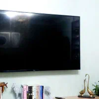 محافظ طلقی تلویزیون