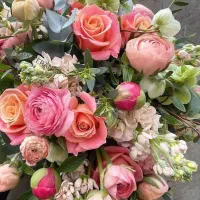 استخدام روانشناس