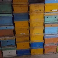 حیوانات و مزرعه