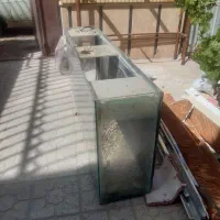 آکواریوم