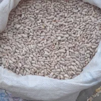 لوبیا|عمده‌فروشی|چناران, |دیوار