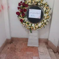 تاج گل ارزان وعاالی|گل و گیاه طبیعی|مشهد, احمدآباد|دیوار