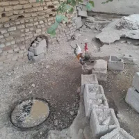 بازدیدداروخوین