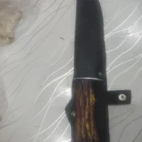 چاغو دسته استخون کلمبیا