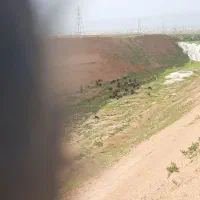 زمین-فروشی-واقع-در-چال-آزادگان