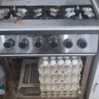 نیروی ساده ی خانم آشپزخانه