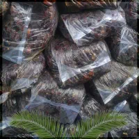 خرید کده و ضایعات بالاترین قیمت