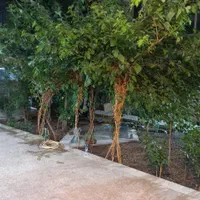 خوابگاه پسرانه سروش|اجارهٔ کوتاه‌مدت آپارتمان و سوئیت|تهران, فلسطین (میدان انقلاب)|دیوار
