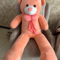 خرس شاسخین بزرگ و نو