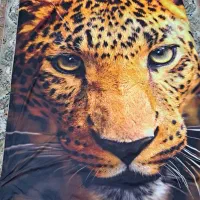 ۲ تا روتختی ۳ بعدی در حد خیلی نو