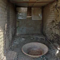 قفس آهنی بزرگ|لوازم جانبی حیوانات|سنندج, |دیوار