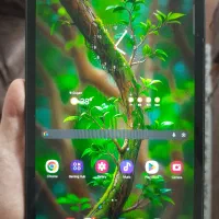 تبلت سامسونگ s6 lite 2022|تبلت|گلپایگان, |دیوار