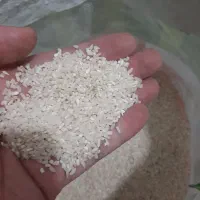 برنج نیم دانه هاشمی