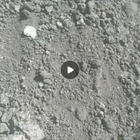 کود مرغی فله خالص|خدمات باغبانی و درختکاری|سرپل ذهاب, |دیوار