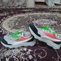 کتونی اصلی پوما