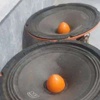 یک جفت باند سالم میدرنج