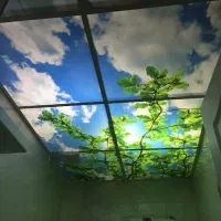 اجرای تایل 60+60و دیوار پوش پی وی سی|خدمات پیشه و مهارت|کرمانشاه, |دیوار