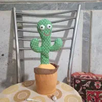 کاکتوس سخنگو موزیکال و رقصنده