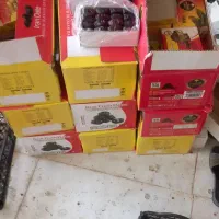 رطب خرما صادراتی لوکس|خوردنی و آشامیدنی|مشهد, شهرک مهر آباد|دیوار