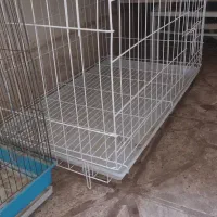 قفس کبوتر