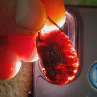 مهره نشاندار آویزی|کلکسیون اشیاء عتیقه|لواسان, |دیوار