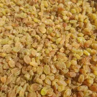 کشمش خوب تمیز محصول امسال