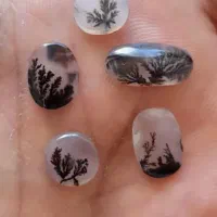 انواع نگین شجر قائن  و عقیق سوسنی|جواهرات|رشت, بازار|دیوار