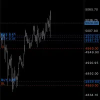 تریدر فارکس(ضمانت سرمایه)