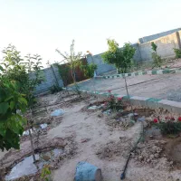 زمین باغی 500 متری قابل معاوضه