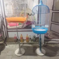 دو عدد پایه با قفس نو