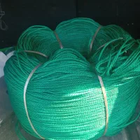 طناب خارجی اصل