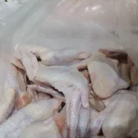 کتف بال تازشمال قیمت عمده ۱۵۷|خوردنی و آشامیدنی|قم, شهرک فاطمیه|دیوار