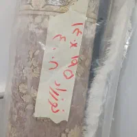 فرشینه|فرش|قم, باغ شریفی|دیوار