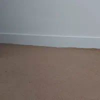 ۳۰ متر موکت