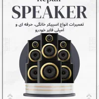 تعمیرات تخصصی انواع اسپیکر اکو آمپلی فایر خودرو