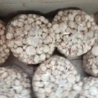 کارگر ساده آقا برای شیفت شب