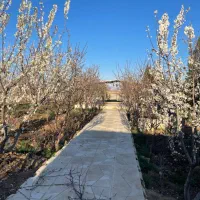 باغچه ۵۰۰‌متری شهرکی سند‌ تک‌برگ‌ کنتور‌ برق|فروش زمین و ملک کلنگی|رامجین, |دیوار