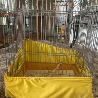 قفس|لوازم جانبی حیوانات|سمنان, |دیوار