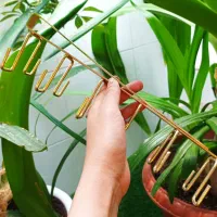 آویز چند کاره|آب‌چکان و نظم‌دهنده ظروف|شیراز, کوشک میدان|دیوار