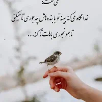 مژدگانی انگشتر گمشده در ولیعصر قصردشت