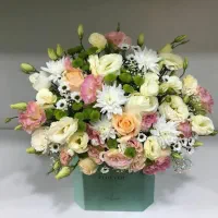 نیازمند ی خانم برای مدیریت پیچ مغازه